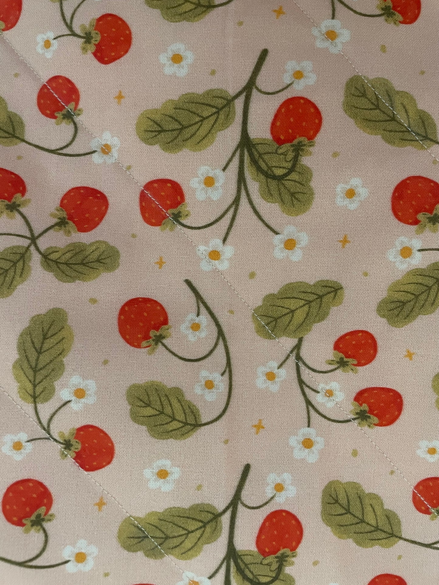 Strawberry Fields Mini