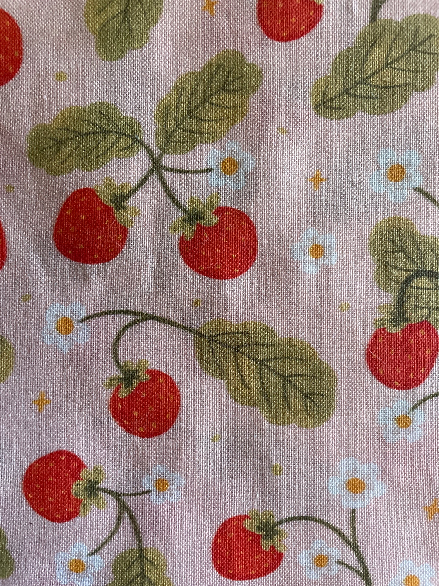 Strawberry Fields Mug Rug