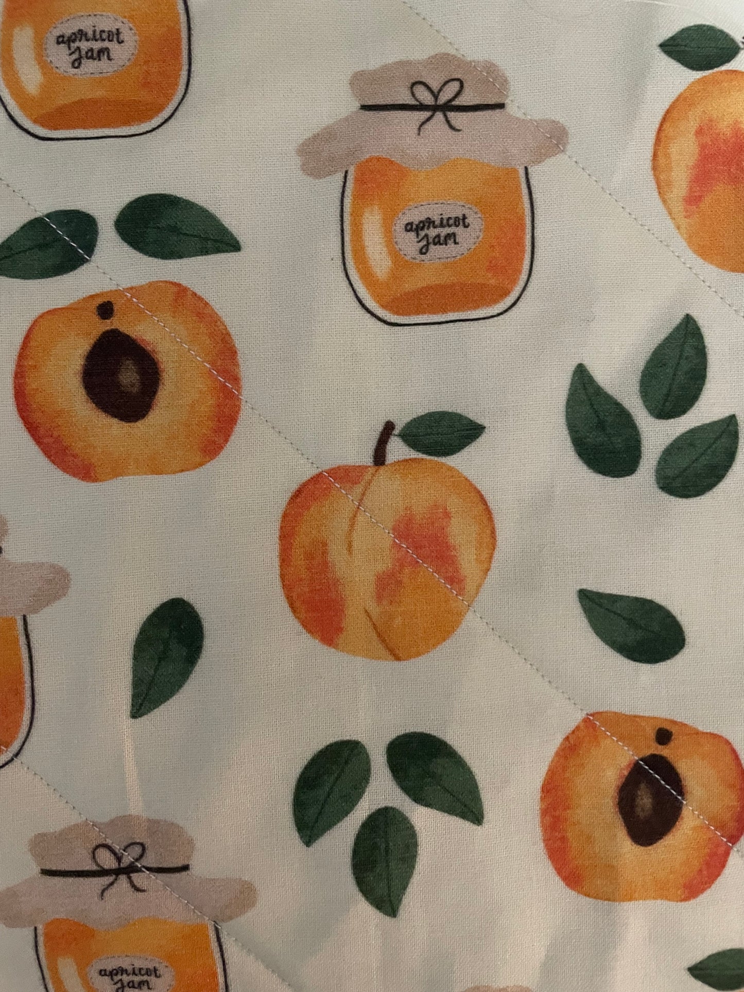 Apricot Adventures Mini